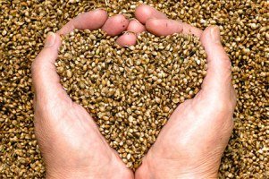 hemp-heart-benefits